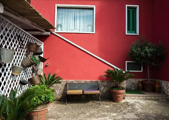 Giacomina * Fasano